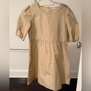 Wilfred Puff Sleeve Dress (Aritzia)